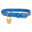 Digby and Fox Rolled Leather Dog Collar in Royal Blue